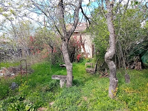 Sat Snagov, central, , casa cu teren 850mp - imagine 2