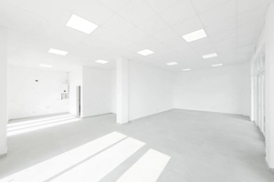 De inchiriat imobil tip SAD - Dumbravita, Bv. Petre Tutea 87 - imagine 2