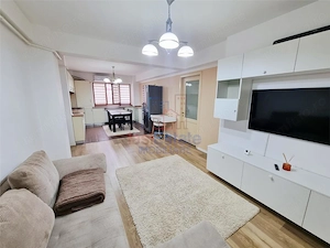 Apartament spatios cu 2 camere de inchiriat in Bucium - imagine 3