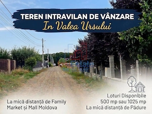 Teren intravilan de vanzare in Valea Ursului-Miroslava