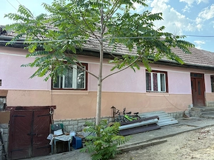 Casă tradițională cu curte mare și șură, în localitatea Cut, județul Alba - imagine 2