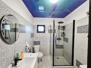 Casa individuala de vanzare in Aroneanu - imagine 14