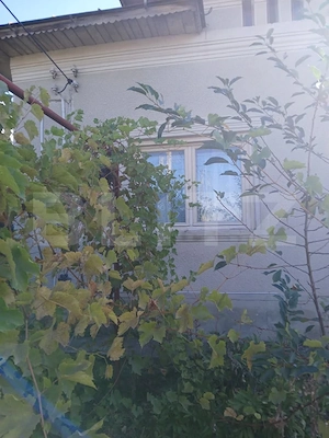 Casă de vânzare în Găești – 115 mp utili și teren 1.830 mp - imagine 6