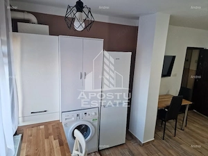 Apartament 3 camere de inchiriat, Centrala Proprie, Lipovei, Timisoara - imagine 4