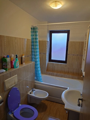 Apartament 1 camera de inchiriat Zona Dambovita - imagine 8