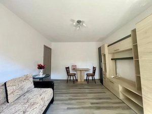  Apartament cu o camera, renovat, 30 mp utili, parter - Zona Sagului - imagine 3