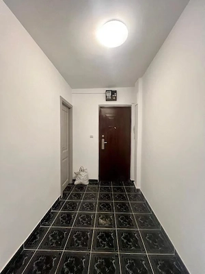  Apartament cu o camera, renovat, 30 mp utili, parter - Zona Sagului - imagine 8