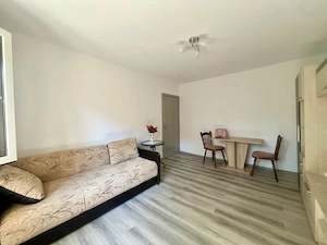  Apartament cu o camera, renovat, 30 mp utili, parter - Zona Sagului - imagine 4