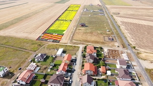 Teren intravilan de 805 mp în Sânandrei - imagine 2