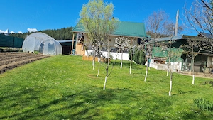 Vând casă în Com.Frumosu.Jud.Suceava - imagine 3