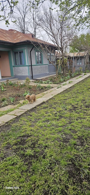 Gospodărie casa și teren Cocora Str Principală asfaltată jud Ialomița  - imagine 2