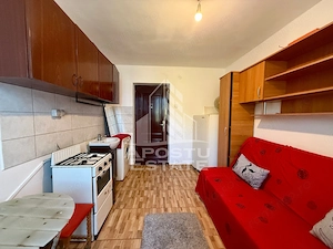 Garsoniera cu baie la comun de vanzare, zona Take Ionescu Timisoara - imagine 3