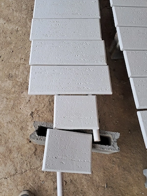 placi decorative de ipsos 
