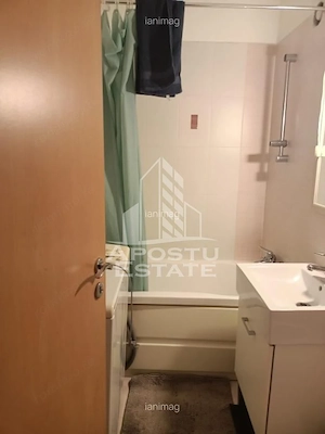 Apartament 1 camera de inchiriat,Aer conditionat, Take Ion, Timisoara - imagine 4