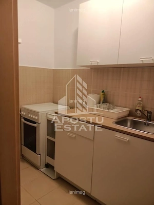 Apartament 1 camera de inchiriat,Aer conditionat, Take Ion, Timisoara - imagine 2