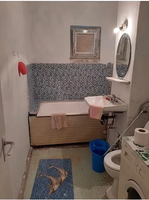 CI679 Barnutiu-Lugojului,2 camere,Parter - imagine 3