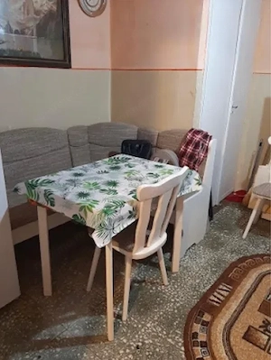 CI679 Barnutiu-Lugojului,2 camere,Parter - imagine 2