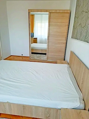Zona Dâmbovița - Dau în chirie apartament cu două camere cu centrală proprie - imagine 9