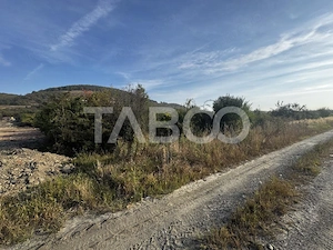 Teren extravilan 6700 mp intre DN si autostrada iesire Cristian Sibiu - imagine 8
