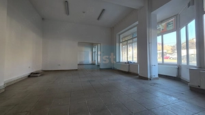 Spațiu, B-dul Tudor Vladimirescu, 100 mp, 1.000 € - imagine 5