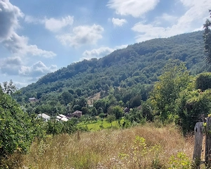 De vanzare: Teren 1000 mp intravilan in Bunesti -  Malureni, Arges  - imagine 2