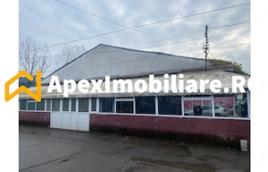 Hale Industriale de Închiriat Baicoi – 1100 mp + 800 mp, teren 5500 mp
