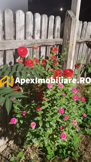 Cotroceni | Casa 3 Camere | Curte | Renovata | Pod Mansardabil - imagine 13