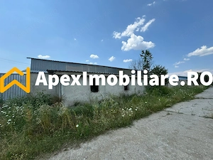 Hale Industriale de Închiriat Baicoi – 1100 mp + 800 mp, teren 5500 mp - imagine 9