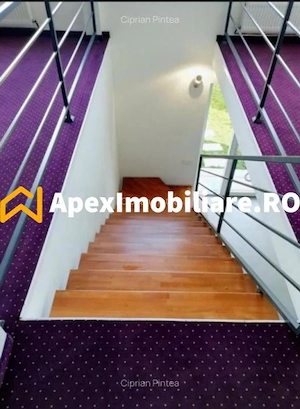 Spatiu Comercial / Vila - Sisesti, Baneasa, Sector 1  - imagine 14