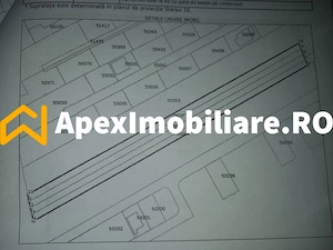 Catelu | Teren 5000MP | Intravilan | 15 Minute Metrou | OPORTUNITATE - imagine 5