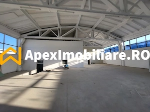 Hala Industriala Xenia – 1800 mp, Acces TIR, Parcare 50 Auto - imagine 11