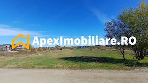 Corbeanca - Tamasi | Teren 1225mp, deschidere 44ml | Utilitati la 50m - imagine 6