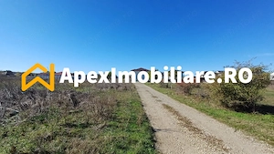 Corbeanca - Tamasi | Teren 1225mp, deschidere 44ml | Utilitati la 50m - imagine 3
