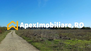 Corbeanca - Tamasi | Teren 1225mp, deschidere 44ml | Utilitati la 50m - imagine 8