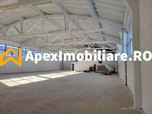 Hala Industriala Xenia – 1800 mp, Acces TIR, Parcare 50 Auto - imagine 15