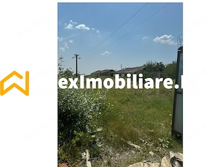 Hale Industriale de Închiriat Baicoi – 1100 mp + 800 mp, teren 5500 mp - imagine 9