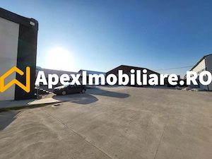 Hala Industriala Xenia – 1800 mp, Acces TIR, Parcare 50 Auto - imagine 10