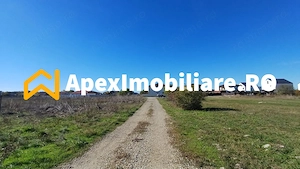 Corbeanca - Tamasi | Teren 1225mp, deschidere 44ml | Utilitati la 50m - imagine 11