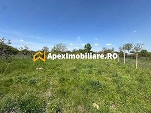 Teren intravilan de vanzare  Cornetu IF | ApexImobiliare.ro - imagine 5