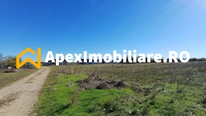 Corbeanca - Tamasi | Teren 1225mp, deschidere 44ml | Utilitati la 50m - imagine 14