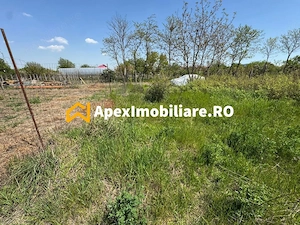 Teren intravilan de vanzare  Cornetu IF | ApexImobiliare.ro - imagine 6