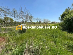 Teren intravilan de vanzare  Cornetu IF | ApexImobiliare.ro - imagine 7