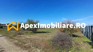 Corbeanca - Tamasi | Teren 1225mp, deschidere 44ml | Utilitati la 50m - imagine 12