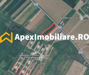 Teren Intravilan de vanzare Mihailesti | ApexImobiliare.ro - imagine 2