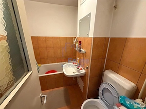 Apartament 1 camera zona Pacurari - imagine 5