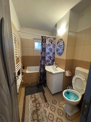 2 cam confort 1 centrala proprie renovat zona Complex Studentesc - imagine 4