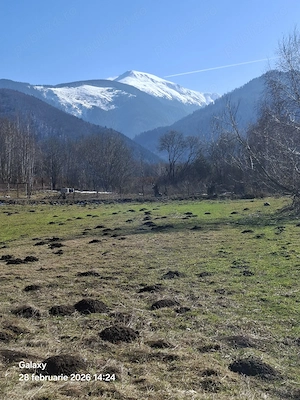 Teren vanzare Breaza Brasov - imagine 3