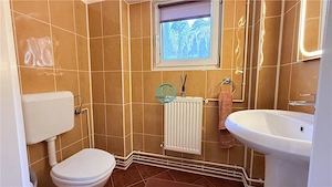 Vand apartament cu 4 camere pe 2 niveluri in casa in Reghin - imagine 16
