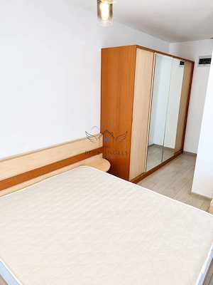 Studio Pet Friendly, la intrare in Sanpetru - imagine 3