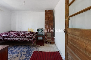Casa cu teren de 1.200 mp si livada–Badesti, comuna Pietrosani, Arges - imagine 8